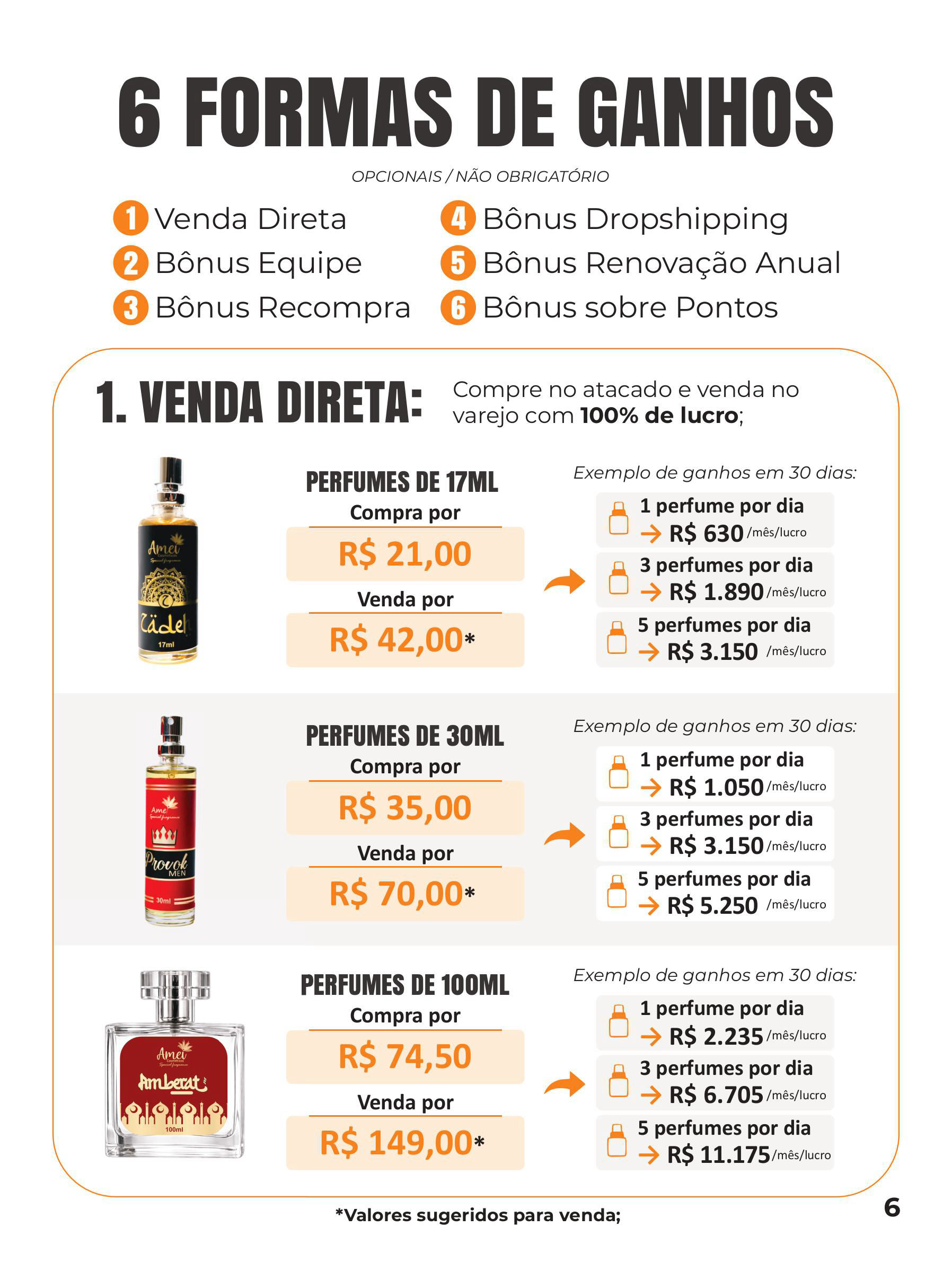 6 Formas de Ganho Com a Amei Cosméticos